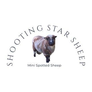 Shooting Star Sheep - Logo