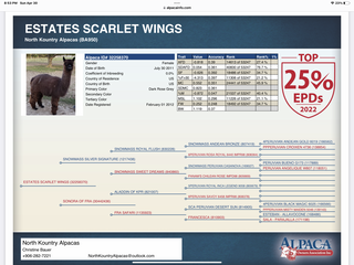 Estates Scarlet Wings