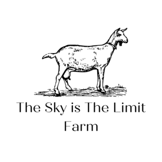 The Sky is The Limit - Logo