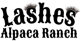 Lashes - Logo