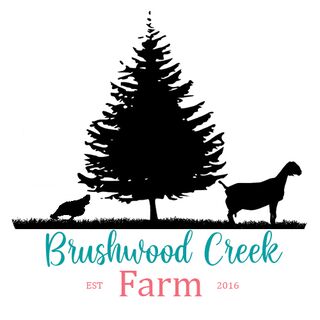Brushwood Creek Farm - Logo