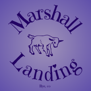Marshall Landing - Logo