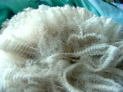 ABRA Zavier fleece