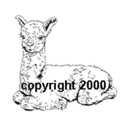 Custom design Alpaca Rubber stamp