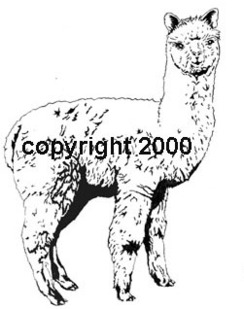 Original design Alpaca Rubber stamp