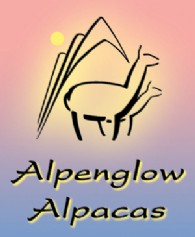 Alpenglow Alpacas - Logo