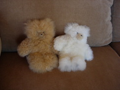 Alpaca Teddy Bears