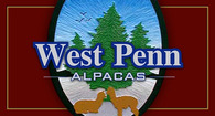 West Penn Alpacas - Logo