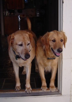 Murdock and Scooter