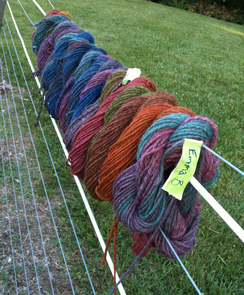 yarn dying project