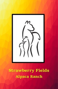 STRAWBERRY FIELDS ALPACA RANCH - Logo