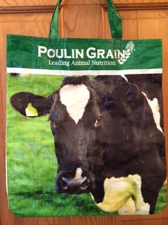 Photo of Reusable Tote Bag--DAIRY