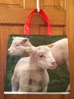 Photo of Reusable Tote Bag-Lamb N' Kid