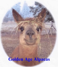 Golden Age Alpacas - Logo