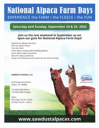 National Alpaca Farm Days Are Here!