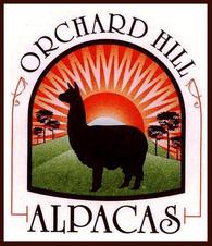 Orchard Hill Alpacas - Logo