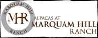 Alpacas at Marquam Hill Ranch - Logo