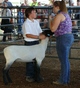 Cody and a Lamb