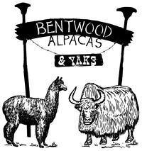 Bentwood Alpacas & Yaks - Logo