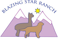 BLAZING STAR RANCH - Logo