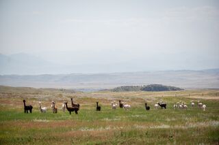 Photo of RGR Ranch Tours/Visits