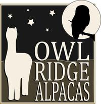 Owl Ridge Alpacas - Logo