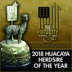 US Steel 3X Herdsire of the Year!