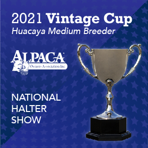 2021 Vintage Cup!