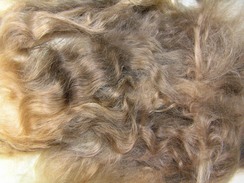 washed and combed suri fleece