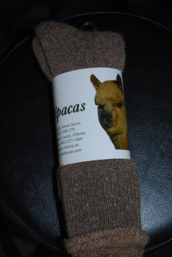 Alpaca Socks - Terry Medium