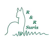 R&R Suris - Logo