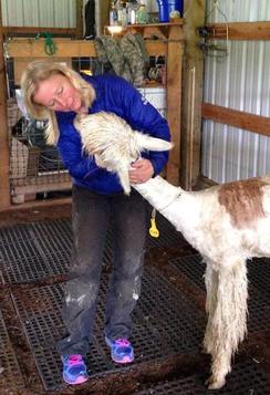 after my 1st shorn alpaca during the seminar in Oregon