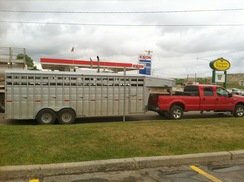 with a horse trailer driving east!