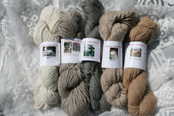 100% Suri Alpaca Yarn light shades