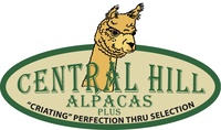 Central Hill Alpacas Plus - Logo