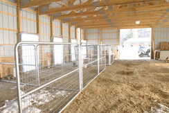 Pen Areas in Breeding Barn