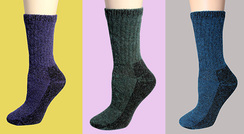 Survival Socks - Bold Colors