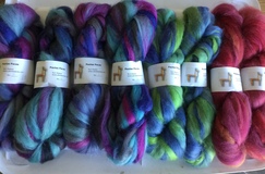 Alpaca suri hand dyed roving
