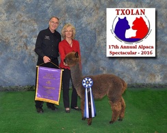 Storm is a Color Champion & double Blue Ribbon Winner!