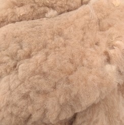 Skirted Alpaca Fleece