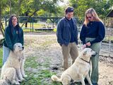 Zeke & Tucker with friends