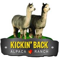 Kickin' Back Alpaca Ranch - Logo
