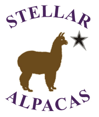 Stellar Alpacas, LLC - Logo
