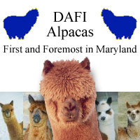 DAFI Alpacas - Logo