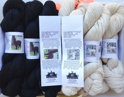 Some of our Alpaca Yarn