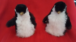 Peter the Penguins