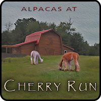 Cherry Run Fiber Arts Studio - Logo