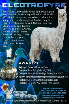 2020 AOA National Fleece Show Get Of Sire Champion!!