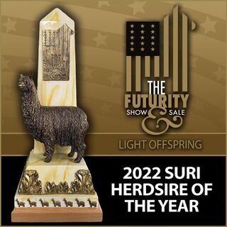 ELECTROFYRE 2022 Herdsire of the Year!!