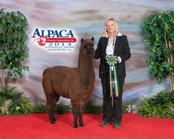 Delta Dawn at the National Show